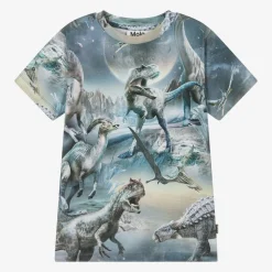 Molo Tops*Boys Blue Cotton Dinosaur Print T-Shirt