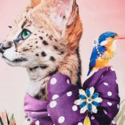 Molo Tops*Girls Pink Cotton Fancy Cat Sweatshirt