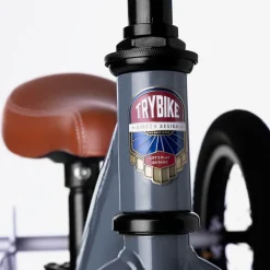 Trybike Toys|Toys*Grey 2-in-1 Trike