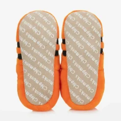 Chipmunks Slippers|Slippers*Orange Tiger Baby Slippers